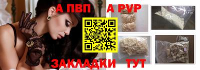 шишки Камышлов