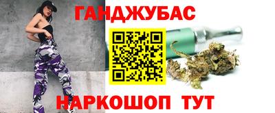 шишки Камышлов
