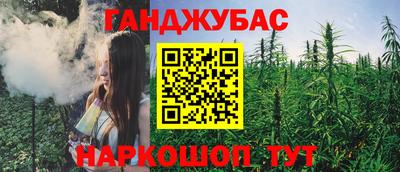 шишки Камышлов