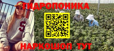 шишки Камышлов