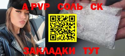 шишки Камышлов