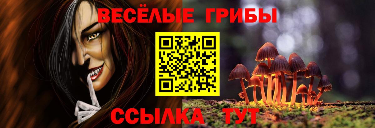 Галлюциногенные грибы Cubensis  Вход с VPN  Галлюциногенные грибы Psilocybe  где найти наркотики  Аксай 